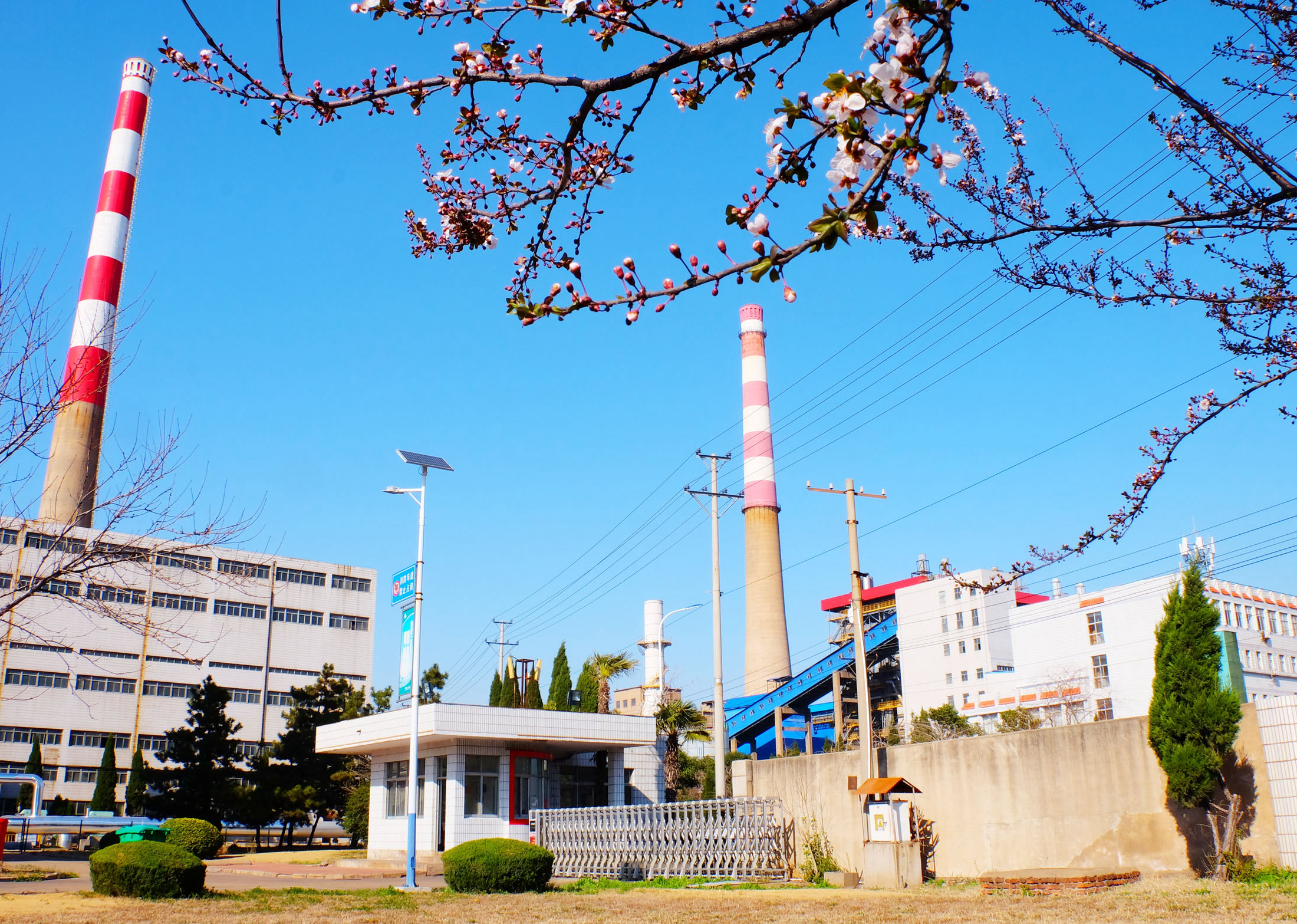 恒通化工公司熱電廠(chǎng)一角