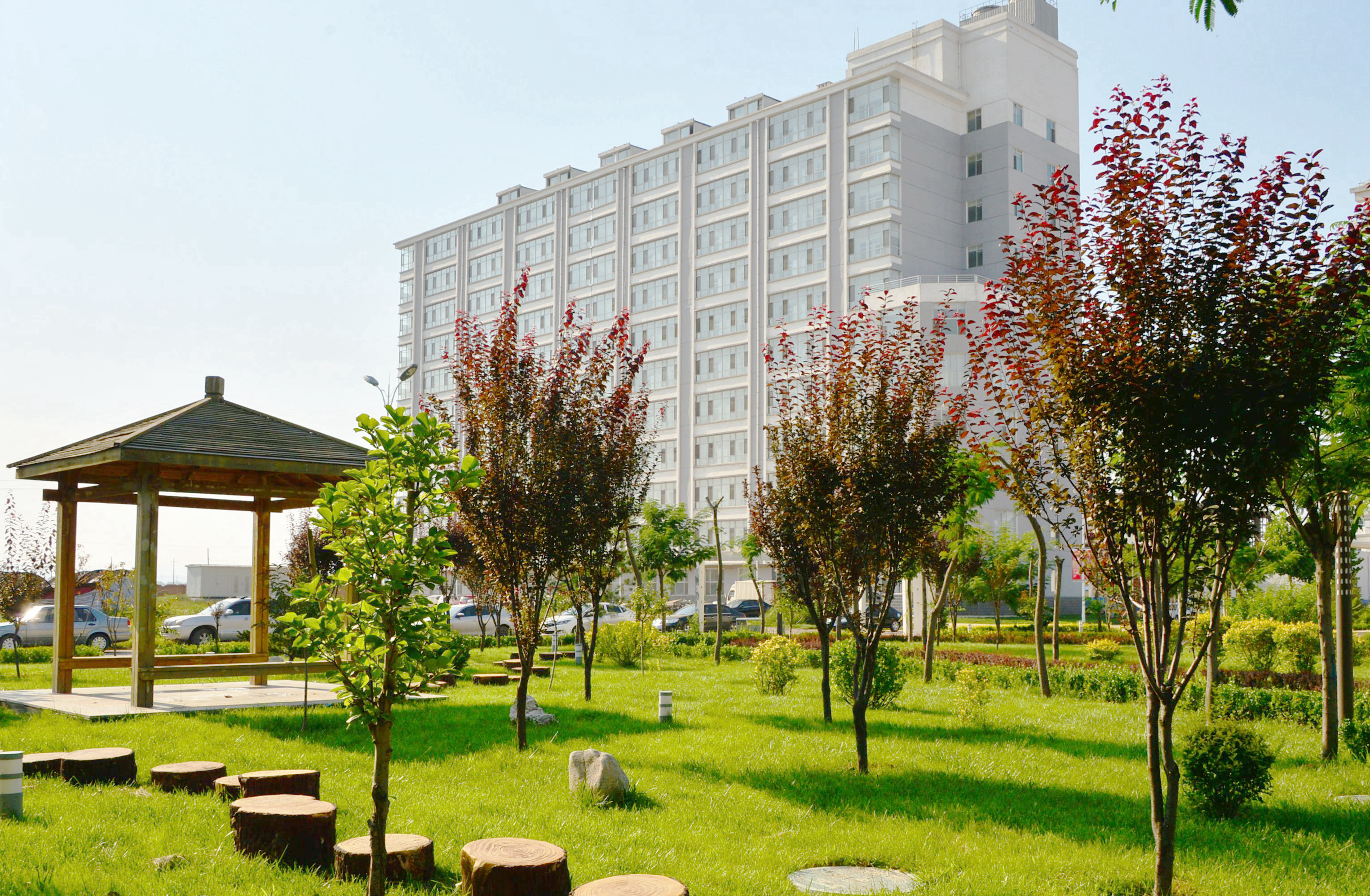 李村煤礦礦區(qū)一角